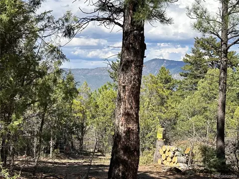 92 Forest Ln, Howard, CO 81233 photo 10