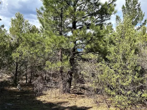 92 Forest Ln, Howard, CO 81233 photo 15