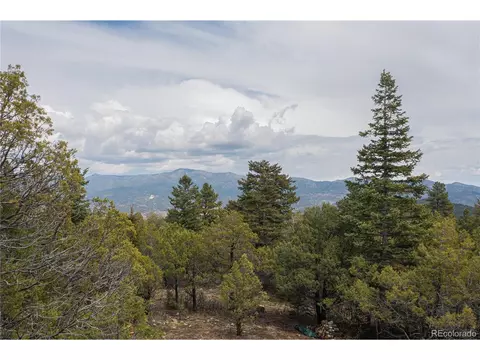 92 Forest Ln, Howard, CO 81233 photo 3