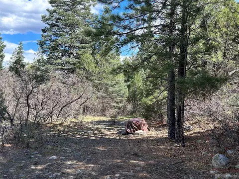 92 Forest Ln, Howard, CO 81233 photo 17
