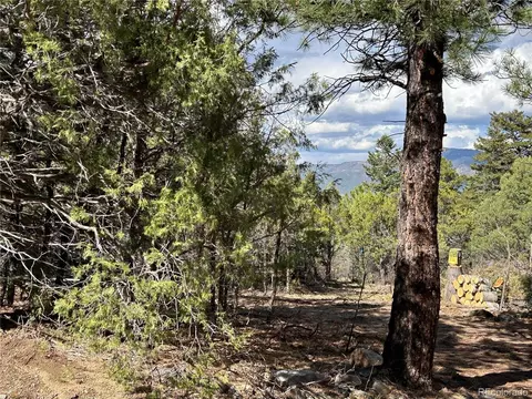 92 Forest Ln, Howard, CO 81233 photo 13