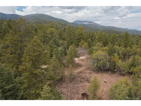 92 Forest Ln, Howard, CO 81233