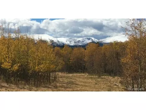 972 Lumber Jack Rd, Fairplay, CO 80440