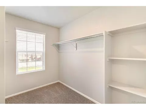 5372 Cedar St, Longmont, CO 80504 photo 16