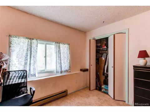 39 Iris Dr, Bailey, CO 80421 photo 30
