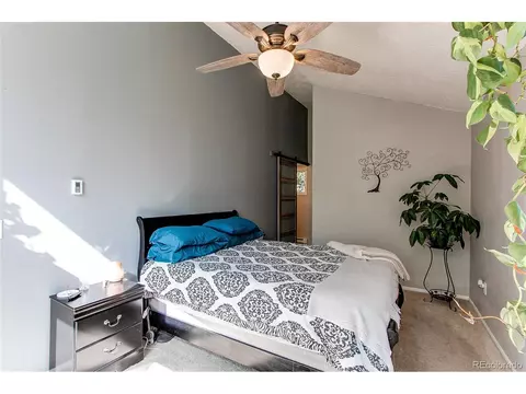 39 Iris Dr, Bailey, CO 80421 photo 14