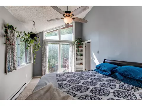 39 Iris Dr, Bailey, CO 80421 photo 15