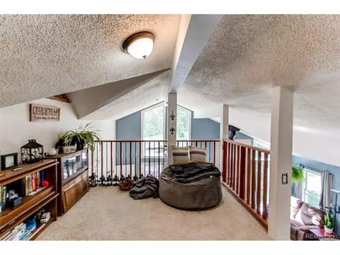 39 Iris Dr, Bailey, CO 80421 photo 20