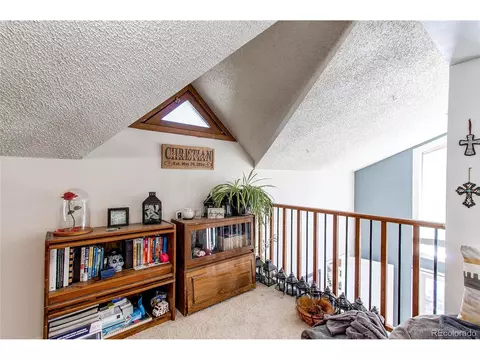 39 Iris Dr, Bailey, CO 80421 photo 22