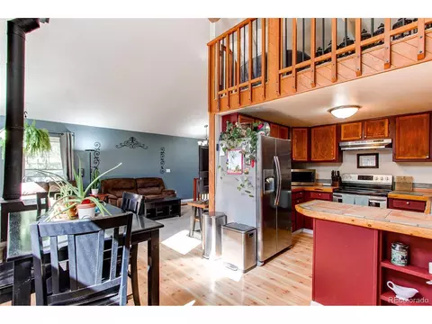 39 Iris Dr, Bailey, CO 80421 photo 10