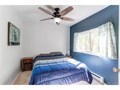 39 Iris Dr, Bailey, CO 80421 photo 27