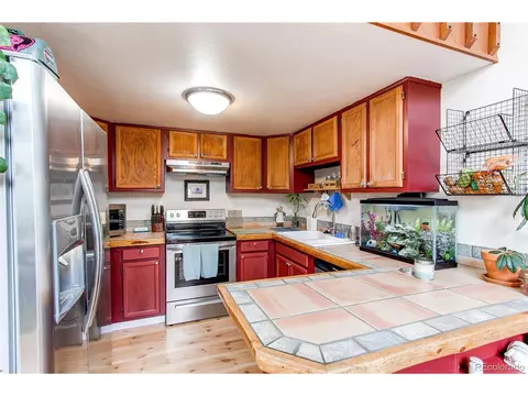 39 Iris Dr, Bailey, CO 80421 photo 12