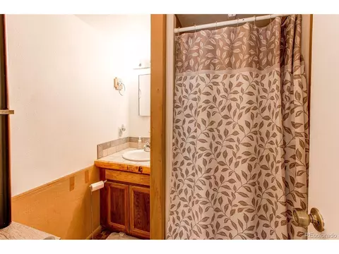 39 Iris Dr, Bailey, CO 80421 photo 31