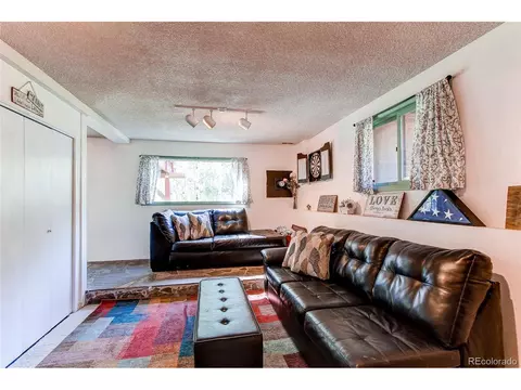 39 Iris Dr, Bailey, CO 80421 photo 23