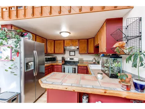 39 Iris Dr, Bailey, CO 80421 photo 11