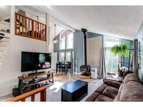 39 Iris Dr, Bailey, CO 80421 photo 5