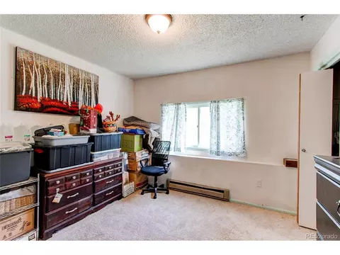 39 Iris Dr, Bailey, CO 80421 photo 29