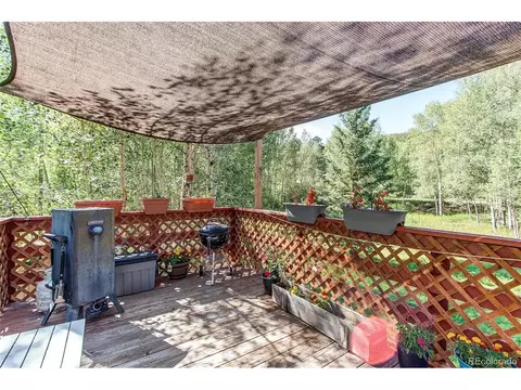 39 Iris Dr, Bailey, CO 80421 photo 32