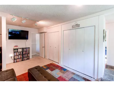 39 Iris Dr, Bailey, CO 80421 photo 25