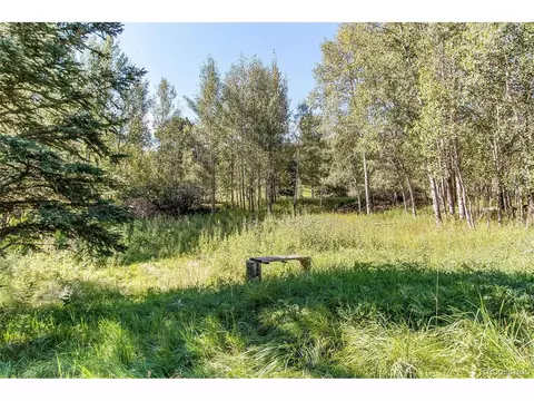 39 Iris Dr, Bailey, CO 80421 photo 36