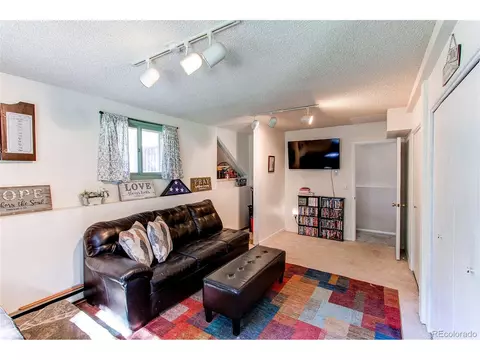 39 Iris Dr, Bailey, CO 80421 photo 24