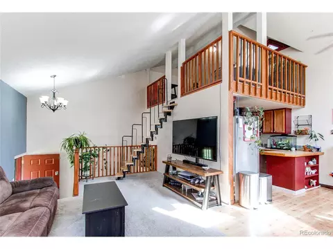 39 Iris Dr, Bailey, CO 80421 photo 6