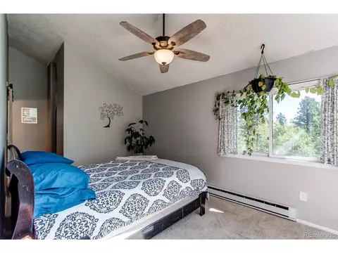 39 Iris Dr, Bailey, CO 80421 photo 13