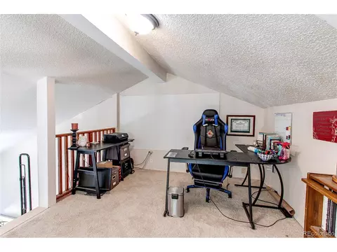 39 Iris Dr, Bailey, CO 80421 photo 21