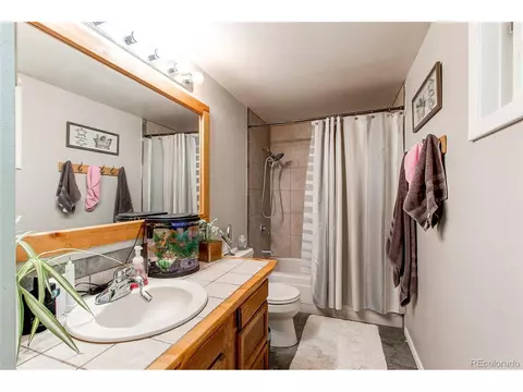 39 Iris Dr, Bailey, CO 80421 photo 18
