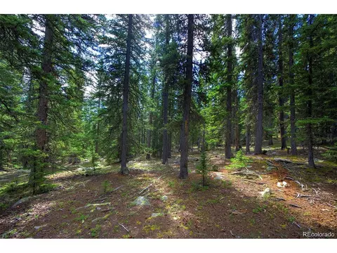 1190 Squaw Mtn Trl, Idaho Springs, CO 80452