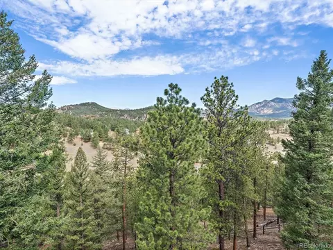 Other - 13695 May Long Ct, Pine, CO 80470 photo 13 of 16
