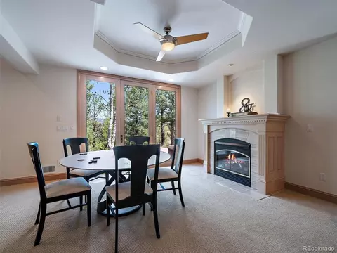 Other - 13695 May Long Ct, Pine, CO 80470 photo 14 of 16