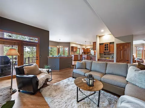 Living - 13695 May Long Ct, Pine, CO 80470 photo 4 of 5