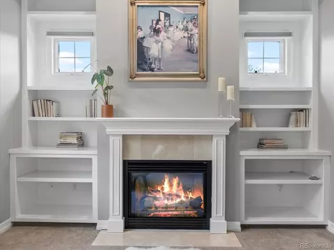 425 Steele St, Denver, CO 80206 photo 28
