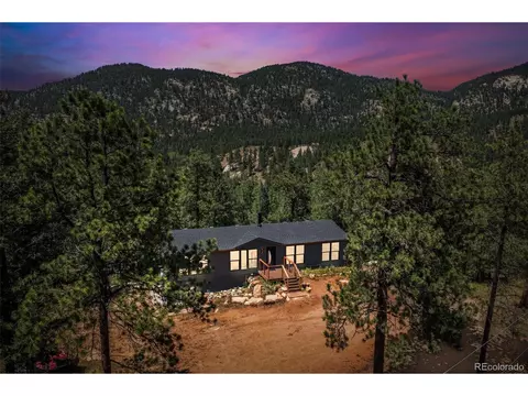 28623 Amerind Springs Trl, Pine, CO 80470