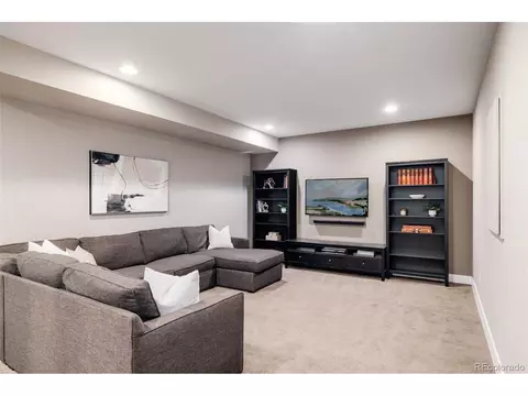 5060 Willow St, Denver, CO 80238 photo 25