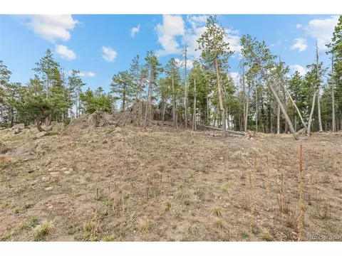10157 Horizon View Dr, Morrison, CO 80465 photo 3