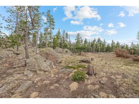 10157 Horizon View Dr, Morrison, CO 80465 photo 2