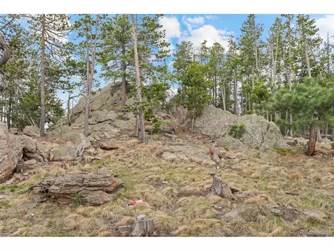 10157 Horizon View Dr, Morrison, CO 80465 photo 7