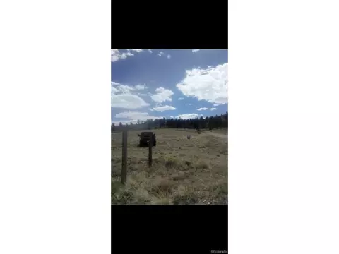 620 Stirrup Rd, Hartsel, CO 80449
