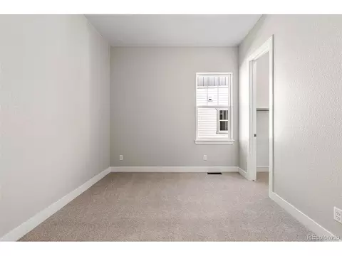 3885 Freestone Pt, Castle Rock, CO 80108 photo 13