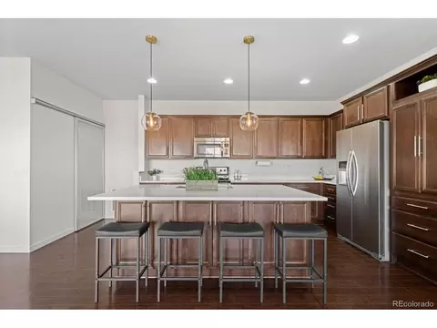 10898 Touchstone Loop, Parker, CO 80134 photo 12