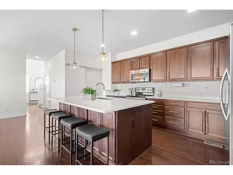 10898 Touchstone Loop, Parker, CO 80134 photo 16