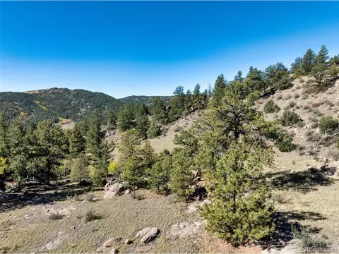 71 Pine Cir, Guffey, CO 80820 photo 5