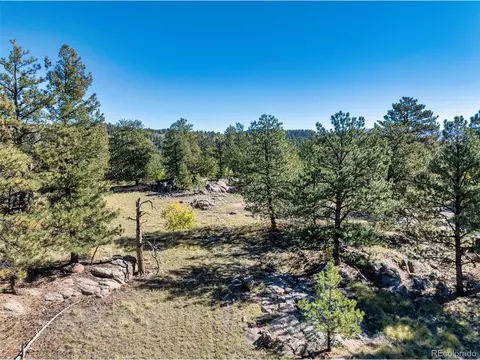 71 Pine Cir, Guffey, CO 80820 photo 6