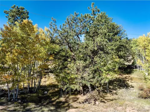 71 Pine Cir, Guffey, CO 80820 photo 3