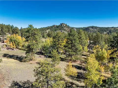 71 Pine Cir, Guffey, CO 80820 photo 19