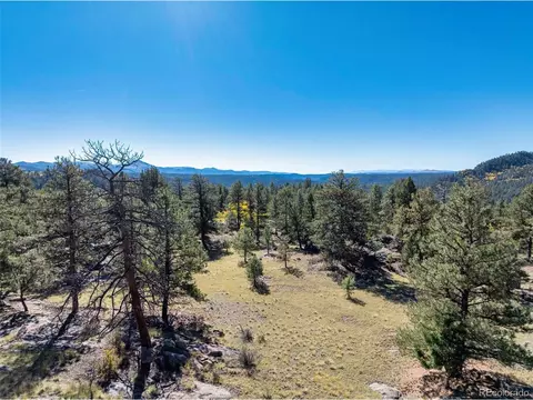 71 Pine Cir, Guffey, CO 80820 photo 4