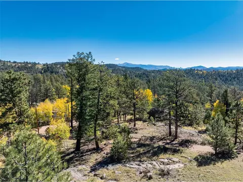 71 Pine Cir, Guffey, CO 80820 photo 18