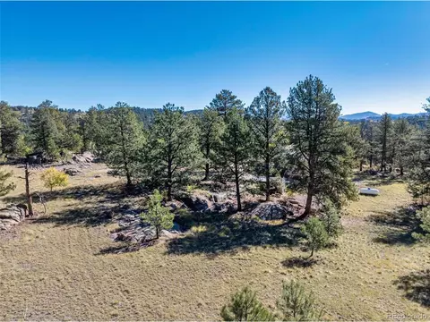 71 Pine Cir, Guffey, CO 80820 photo 8